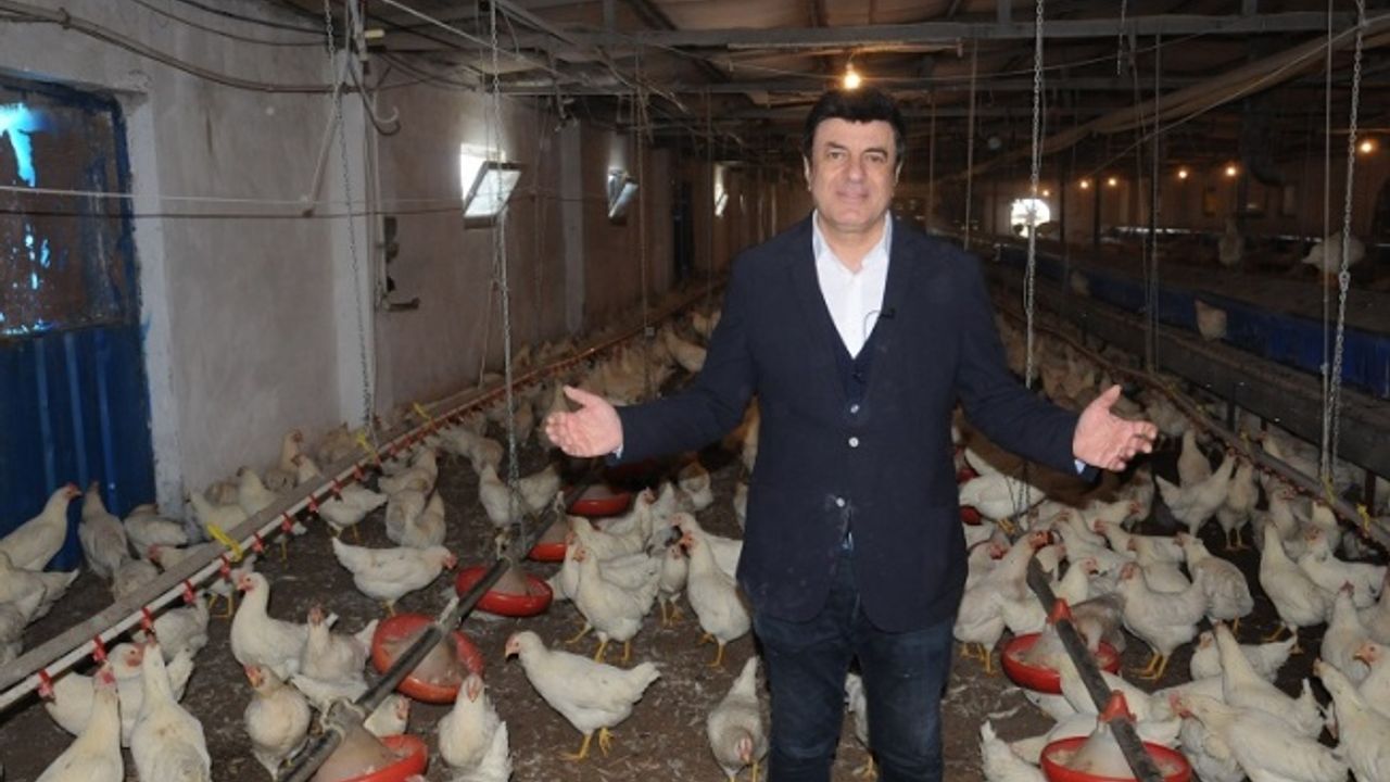 Coşkun Sabah tavuklarını sigortalattı