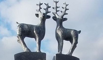 DÜŞÜNCEYİ YONTAN, ŞEKİLLENDİREN SANATÇI: MALİK BULUT