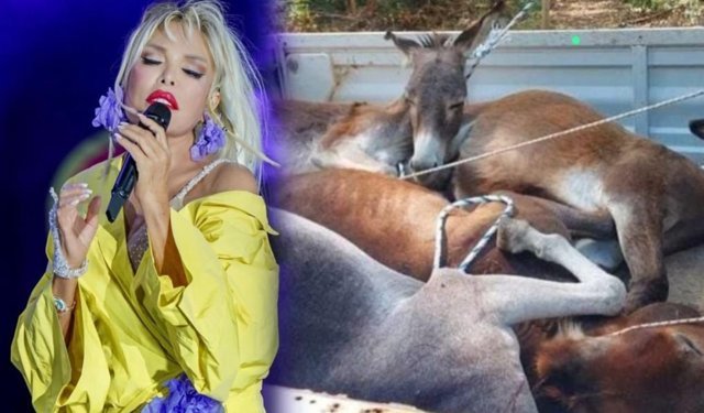 AJDA PEKKAN "HEP BERABER DELİRECEĞİZ!"