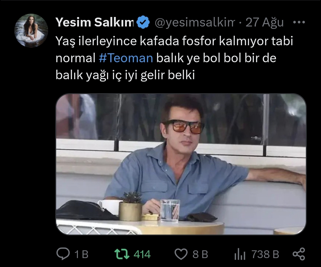 Yeşim Salkım Teoman Tweeti X Screenshot 20240828 162831 Chrome