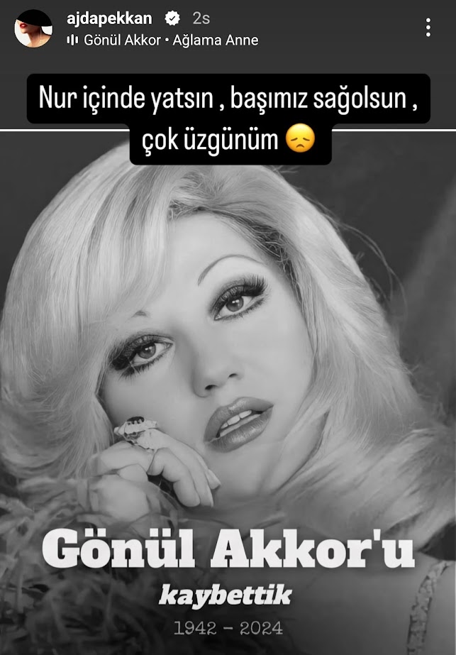 Gönül Akkor Acıklaması Ajda Pekkan Screenshot 20241231 142128 Instagram