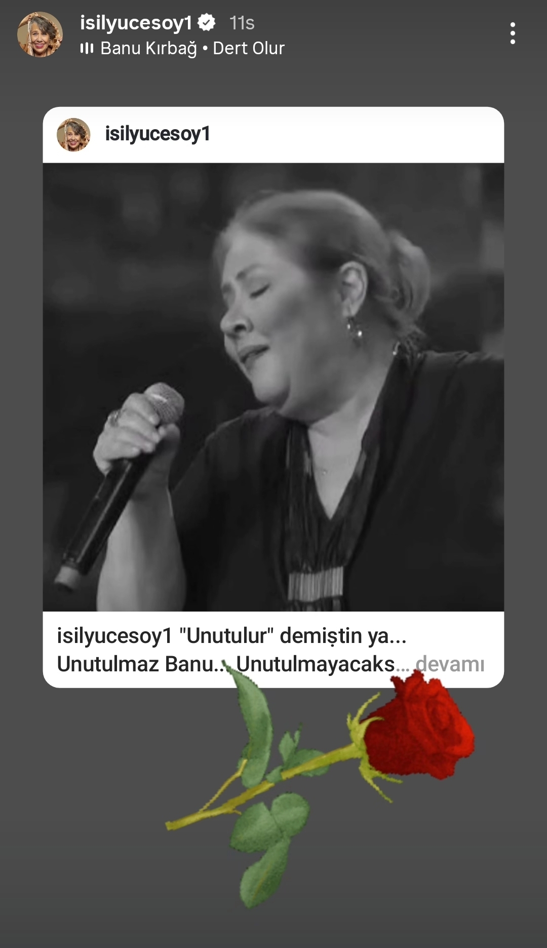 Banu Işıl Yücesoy 20250819 030950 Instagram