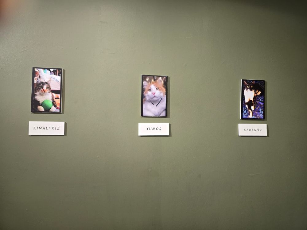 Veysel Boğatepe'nin Çalışma Odasından Bir Kare..2