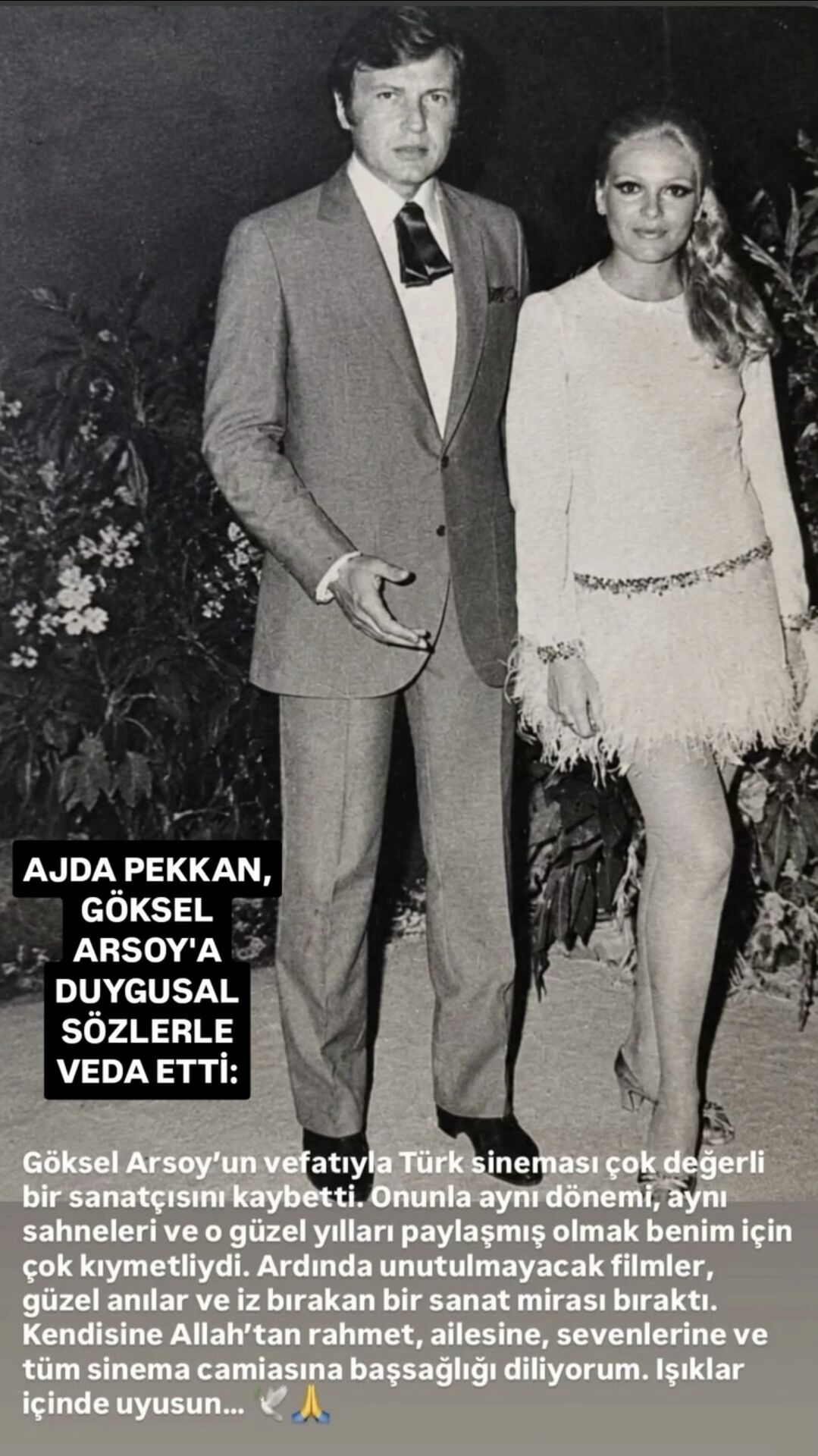 Ajda Pekkan Göksel Arsoy